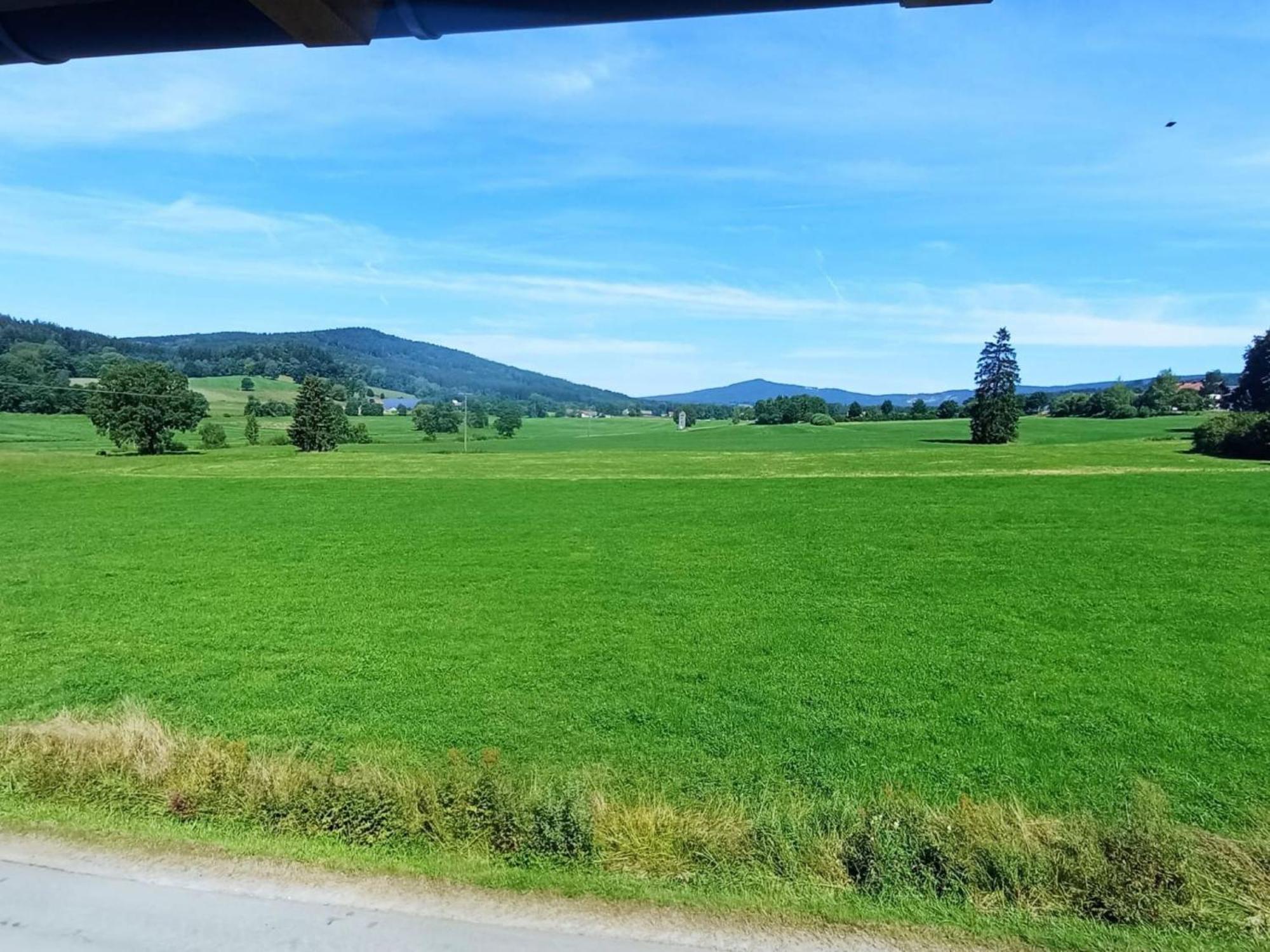 Fewo Wiesenblick Waldmünchen Exterior foto
